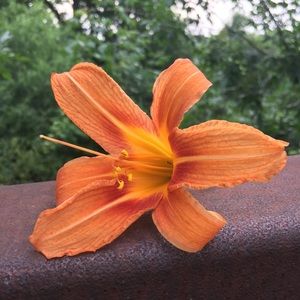 Meet your Posher, Maddie